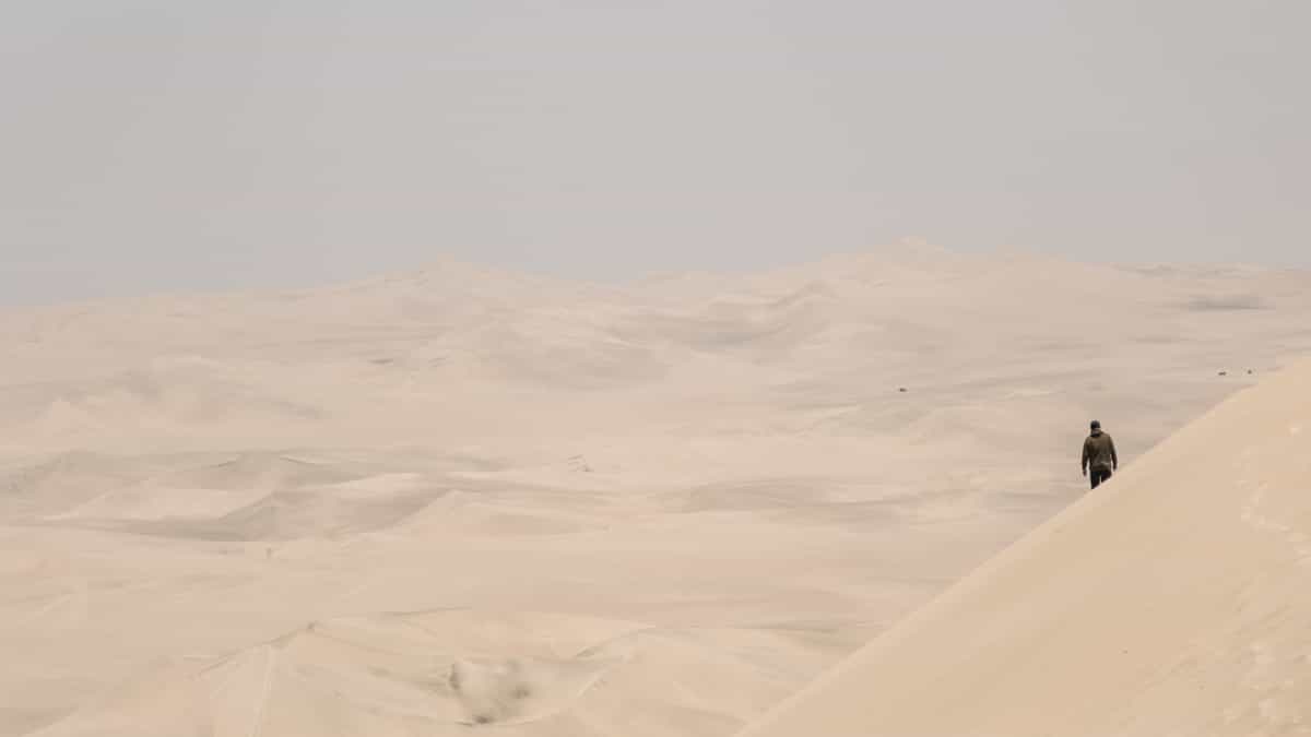 On their own: Cryptocurrencies are an asset class unlike many others