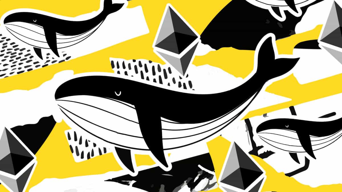LEO burns hint at whales sighting on Bitfinex