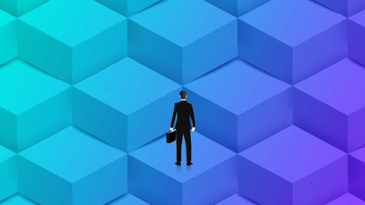 If you build a blockchain, will anyone come?