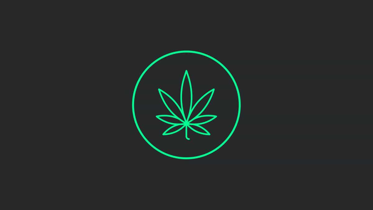 Lawsuit alleging misappropriation of token sale funds settles with release of claims and creation of 'Budbo DAO'