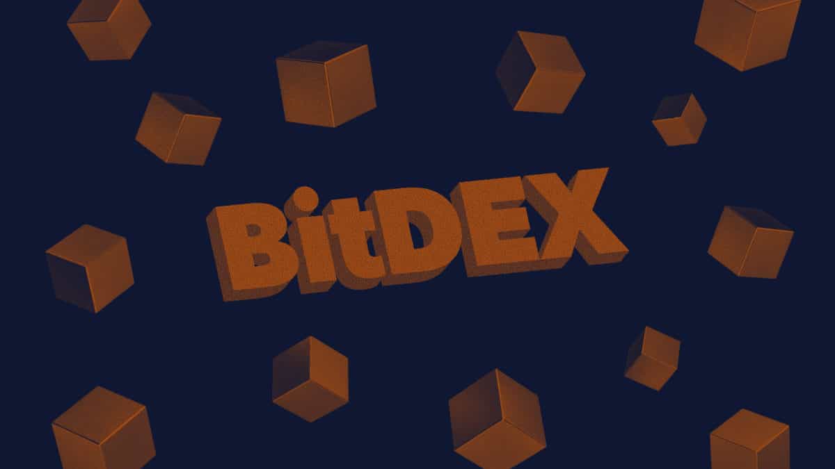 BitDEX: A decentralized exchange for perpetual swaps