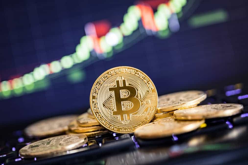 Bitwise survey: More financial advisors are eyeing crypto for their clients