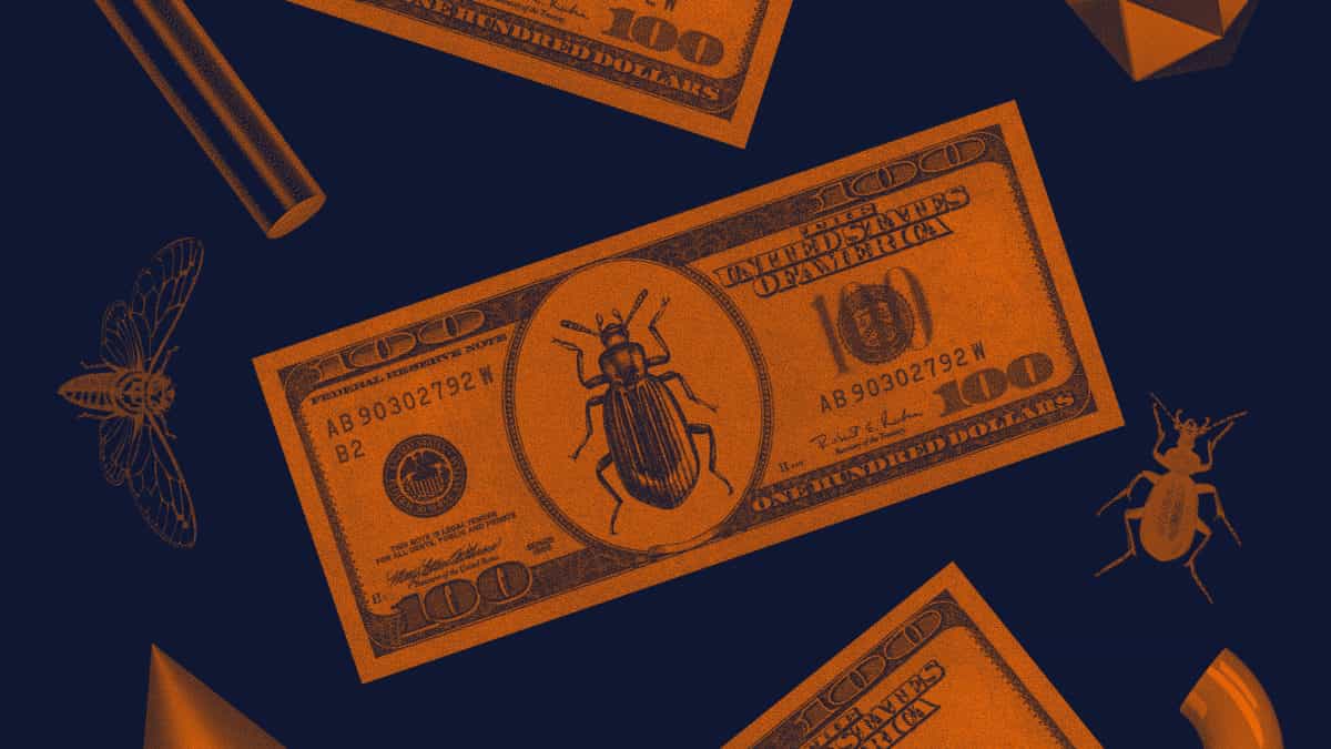 Ethical crypto hackers win $52 million in bug bounties via Immunefi in 2022
