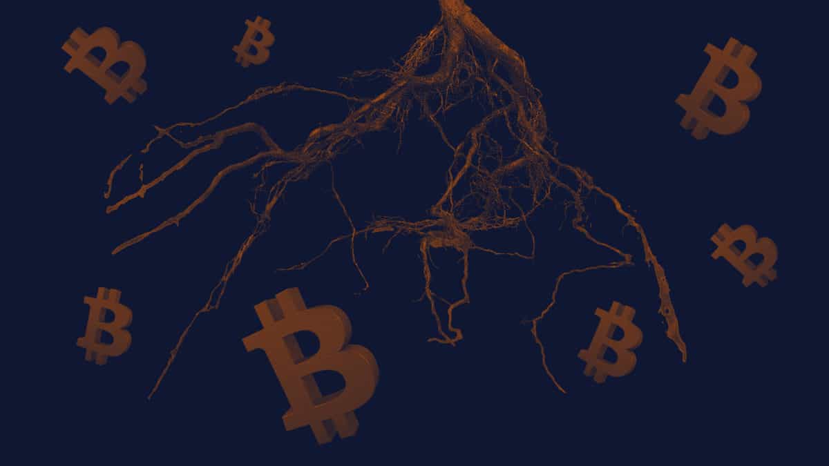 Bitcoin's long-anticipated Taproot upgrade is activated
