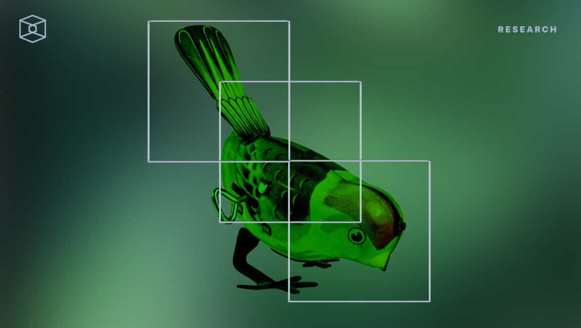 Should we always feed the birds?