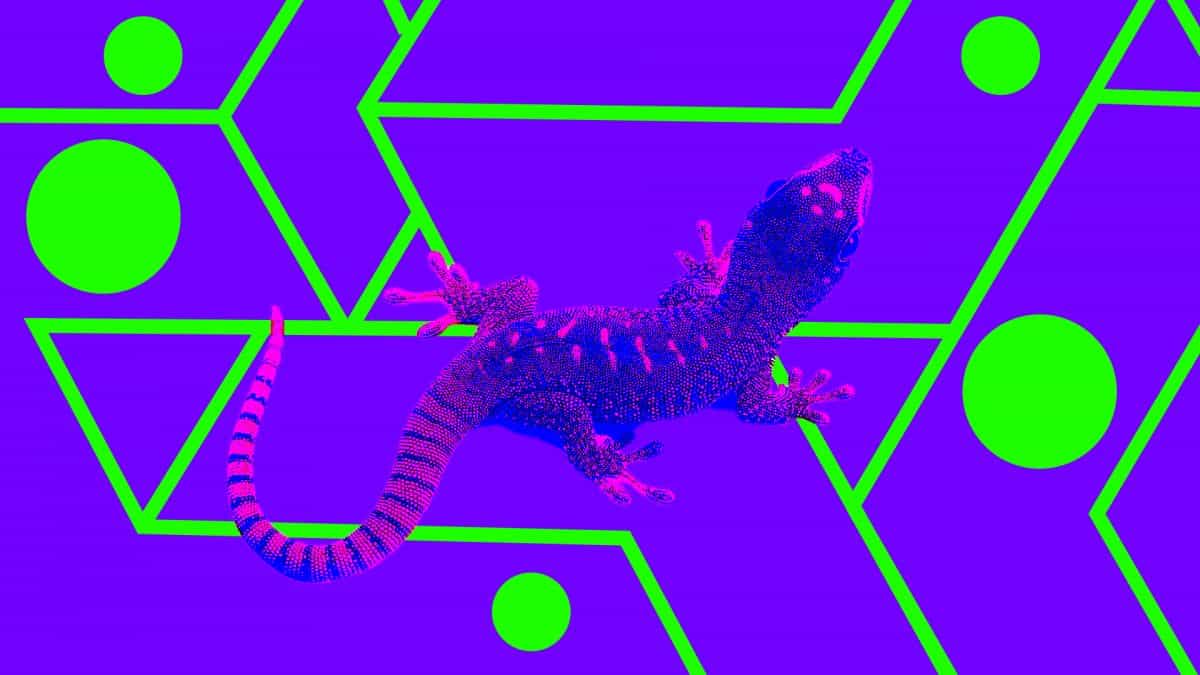 CoinGecko buys NFT data startup Zash in its first acquisition