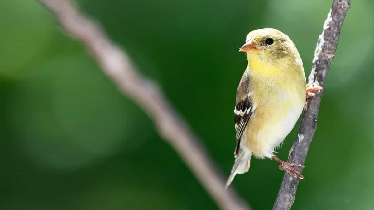 Two former Coinbase employees are building a DeFi lending protocol for emerging markets