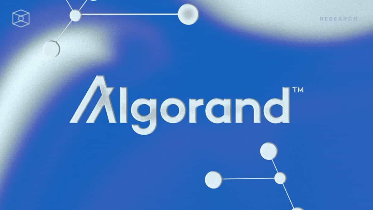 Mapping out Algorand's ecosystem