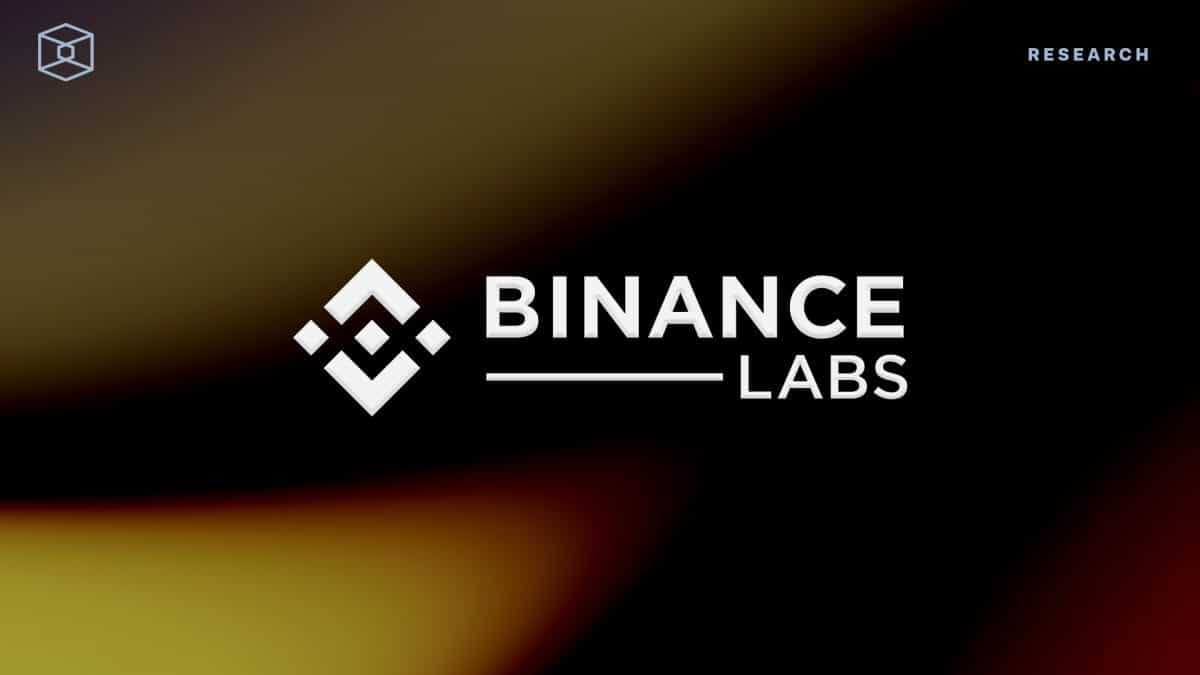 Mapping Out Binance Labs Portfolio