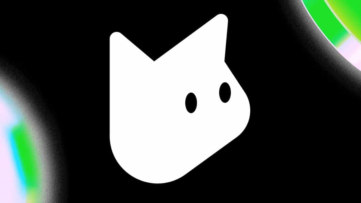 Crypto copy-trading protocol Housecat emerges from stealth with $3.5 million in funding