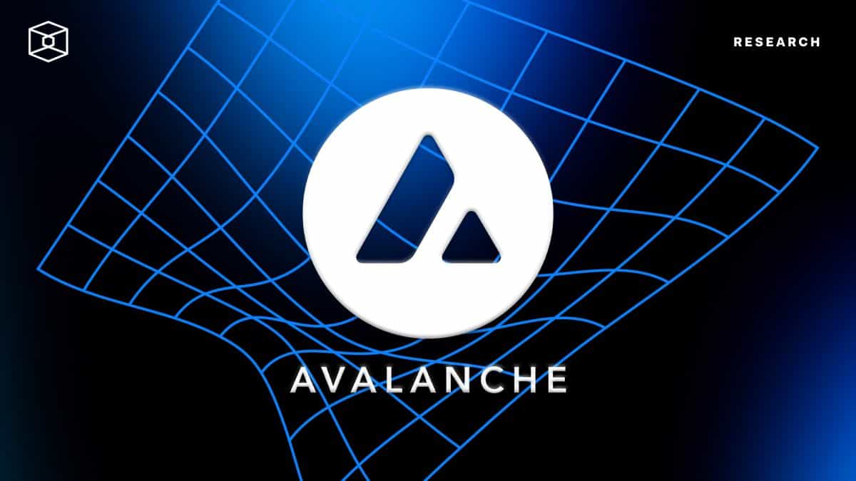 A look at Avalanche subnets