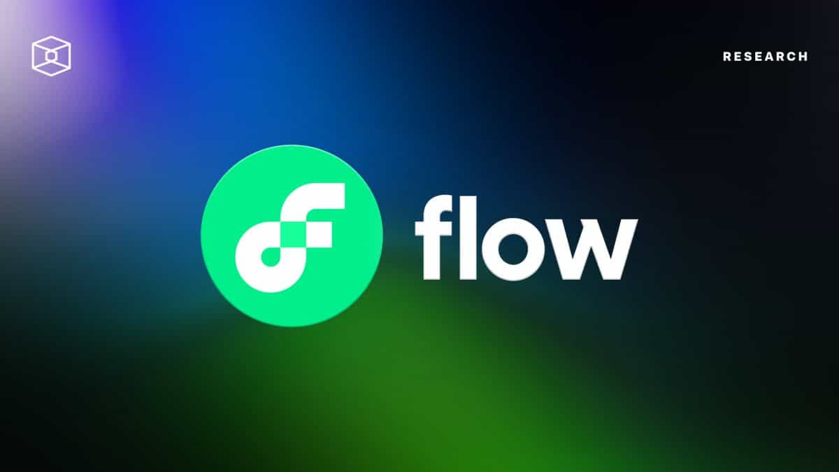 Mapping Out Flow Blockchain Ecosystem