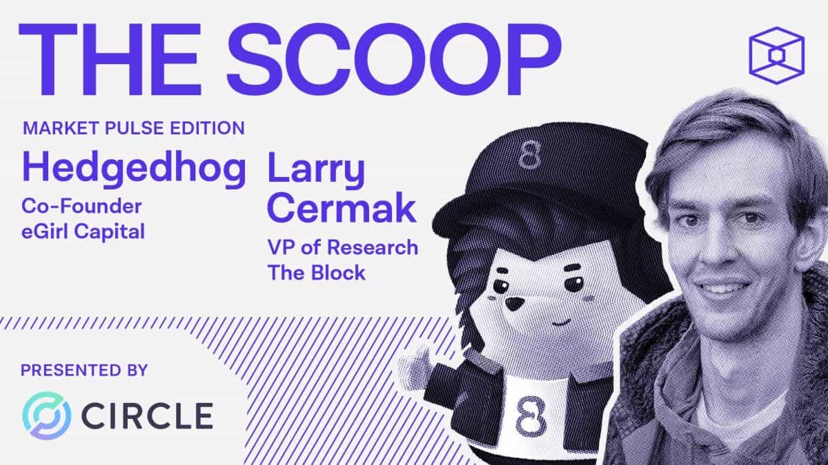 Resurgence of 'degenerate behavior' is behind 2023's crypto rally