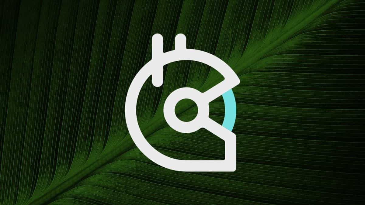 Ethereum public goods funding protocol Gitcoin winding down its software division