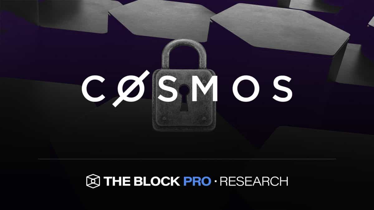 Varieties of Shared Security in the Cosmos Ecosystem