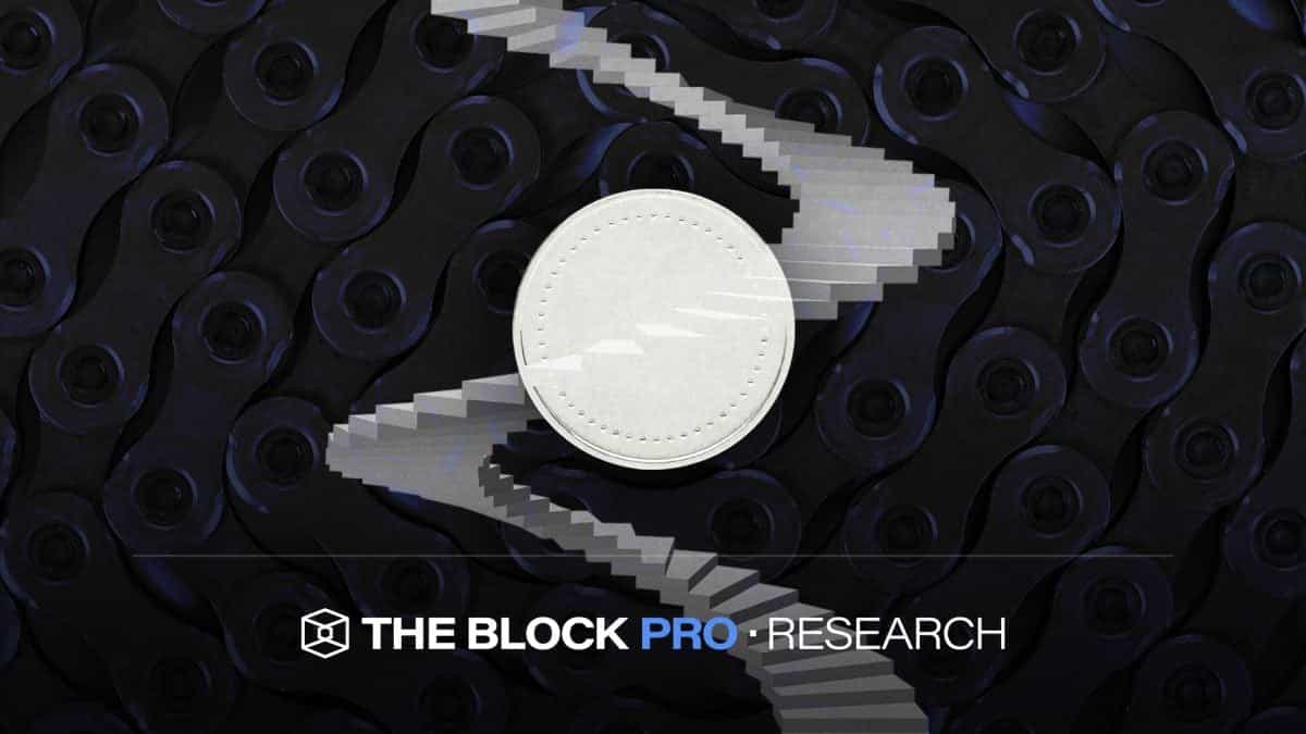 Mapping Out Blockchain Protocol Ecosystem