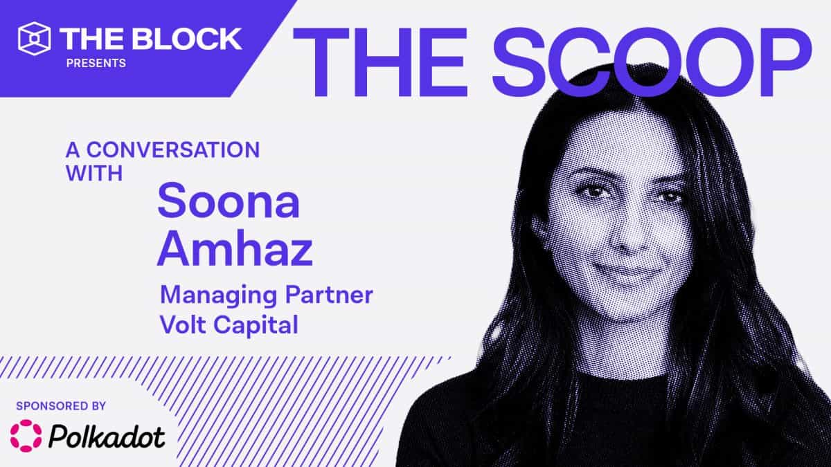 ‘Don’t forget about’ last cycle's hot investment categories, says Volt Capital's Soona Amhaz