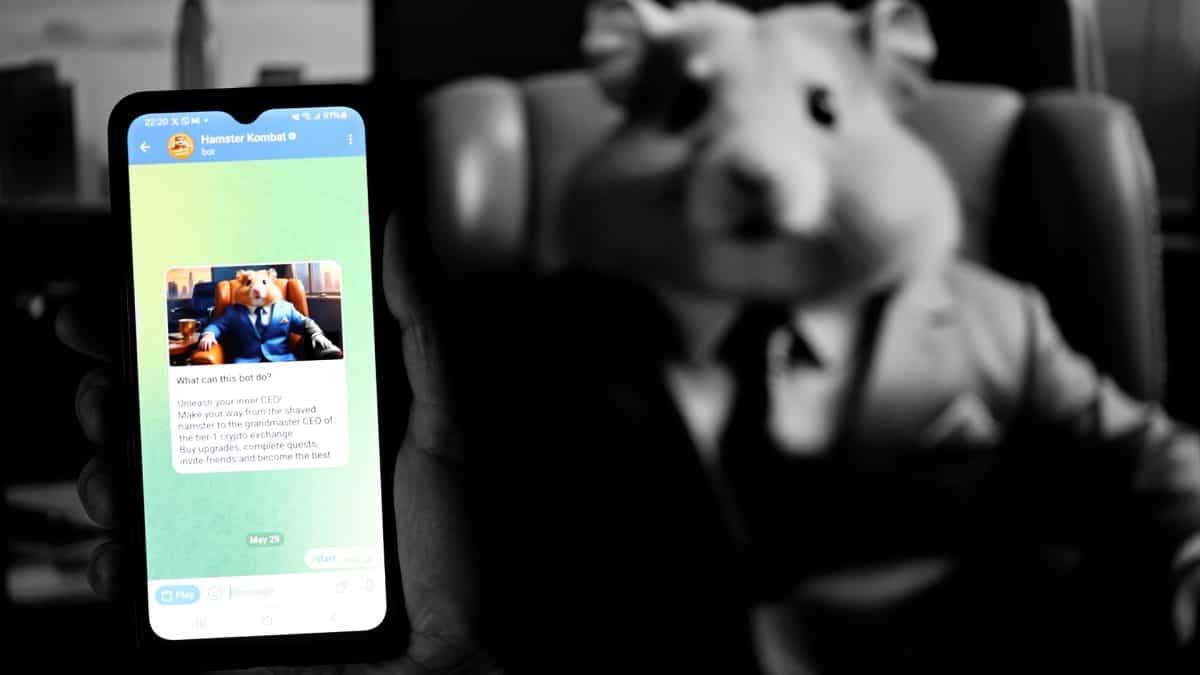 Hamster Kombat founders tout 'high' trading volumes, expansion plans and game's next season as token declines