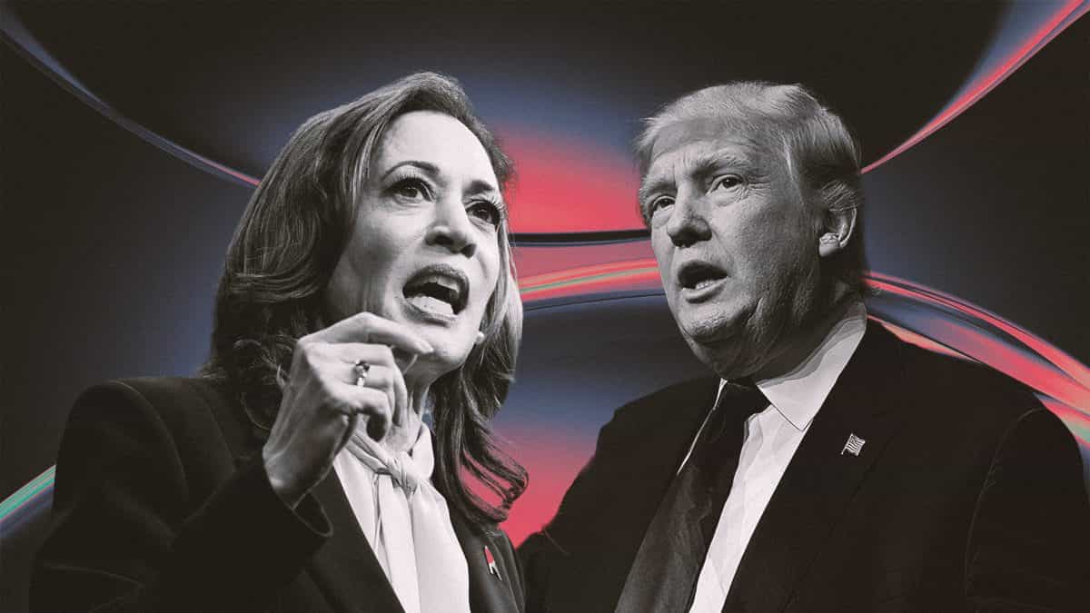 The Daily: How a Trump or Harris win could impact crypto, Mt. Gox moves billions of dollars in bitcoin and more