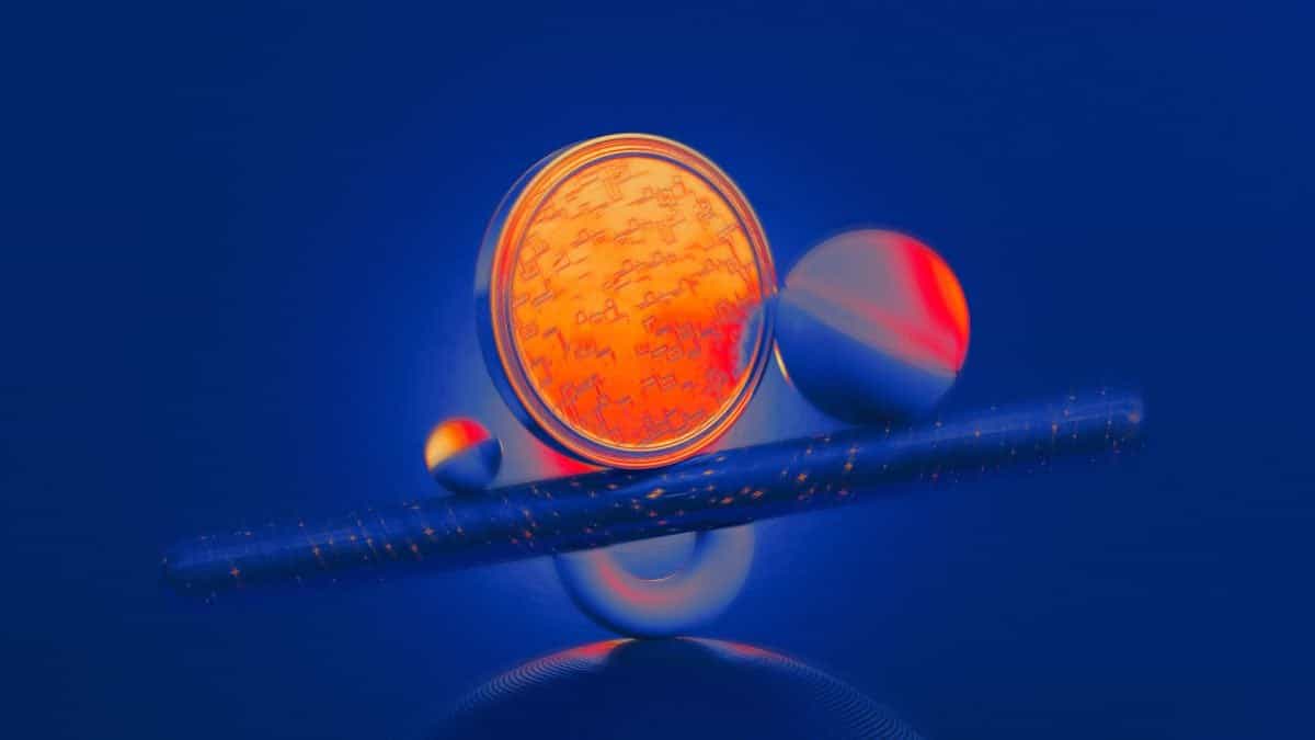 NHL reaches multi-year licensing agreement with prediction markets Kalshi and Polymarket: WSJ