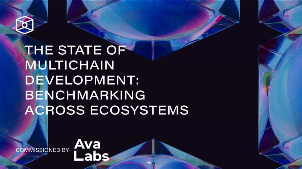 The State of Multichain Development: Benchmarking Across Ecosystems