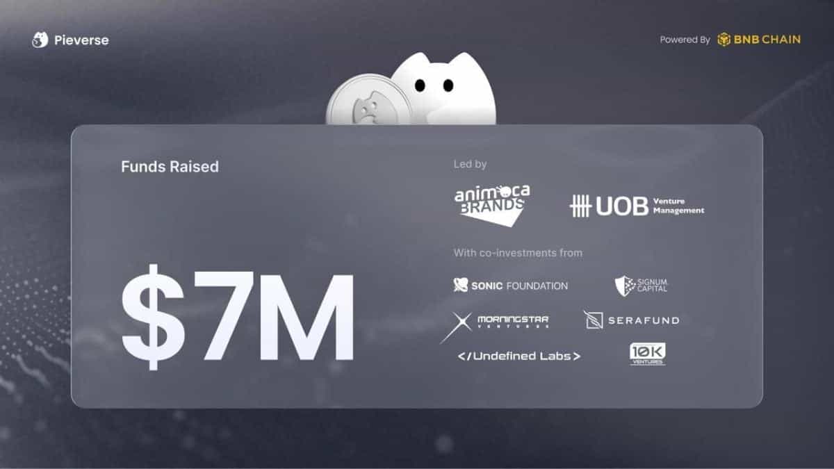 Pieverse Secures $7 Million in Strategic Funding Round Led by Animoca Brands and UOB Ventures