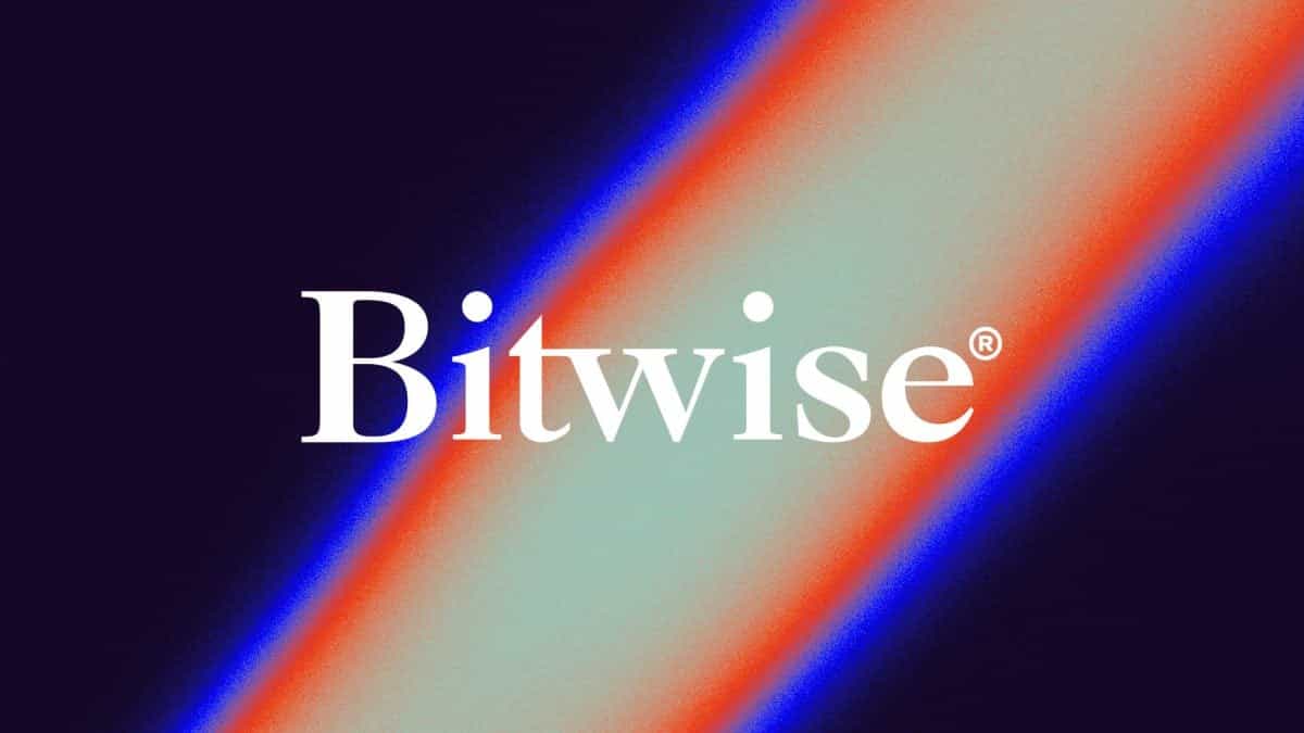Ethereum, Solana and Avalanche get busier and cheaper even as token prices fall: Bitwise