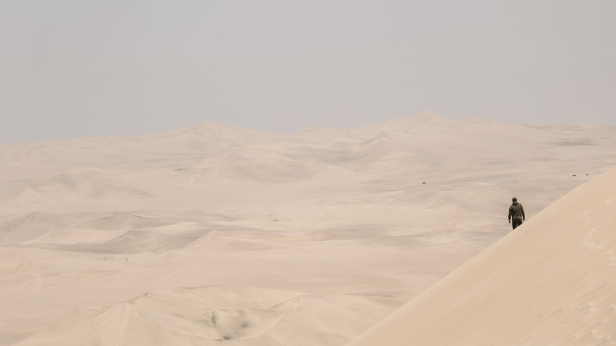 On their own: Cryptocurrencies are an asset class unlike many others