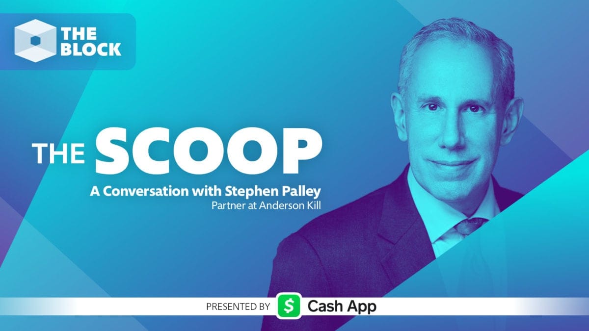 A Conversation with Stephen Palley, Partner at Anderson Kill