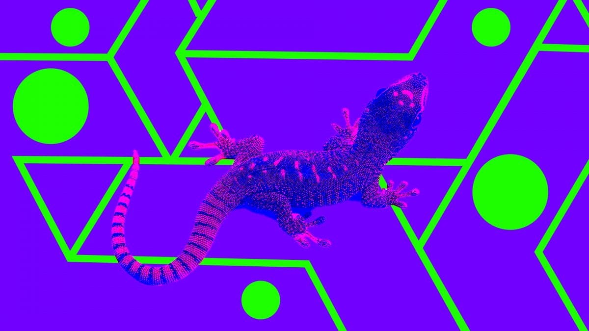 CoinGecko buys NFT data startup Zash in its first acquisition