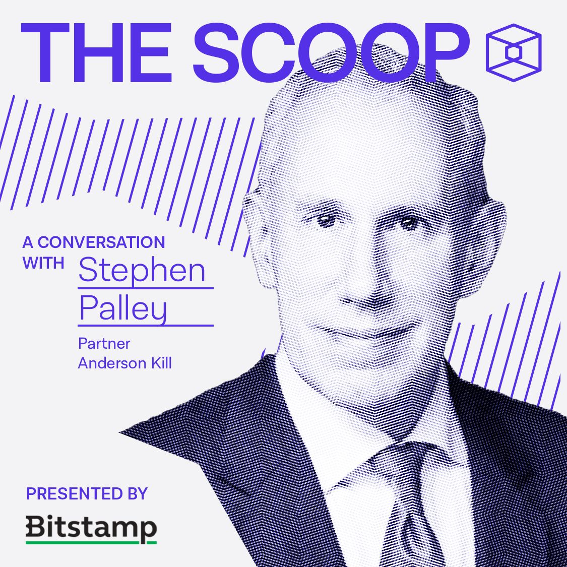 Stephen Palley, Partner, Anderson Kill