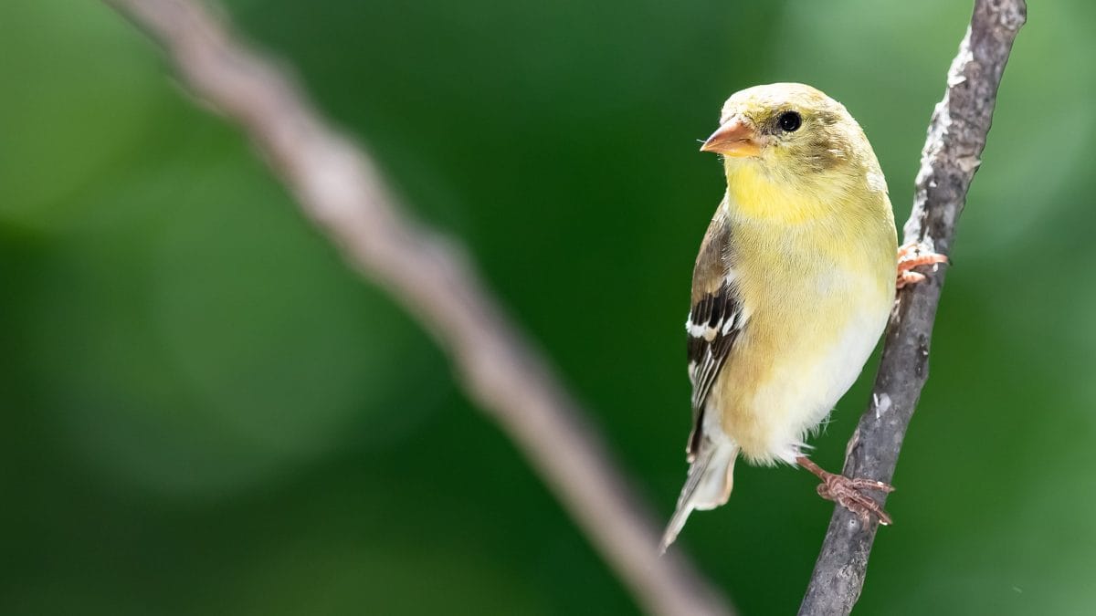 Two former Coinbase employees are building a DeFi lending protocol for emerging markets