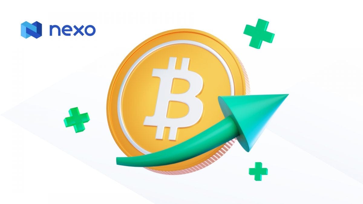 Nexo B2B Service Brings High-Yield Crypto Savings Accounts to Fintech Companies