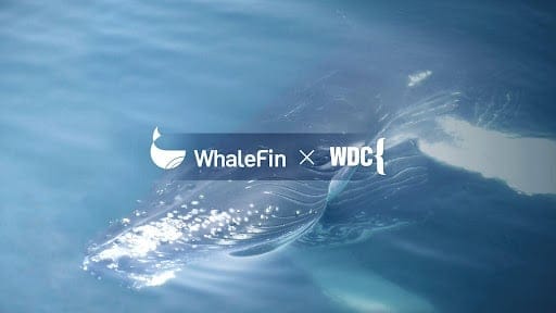 WhaleFin Partners with Non-Profit Organization Whale and Dolphin Conservation