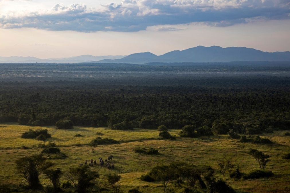 Virunga National Park