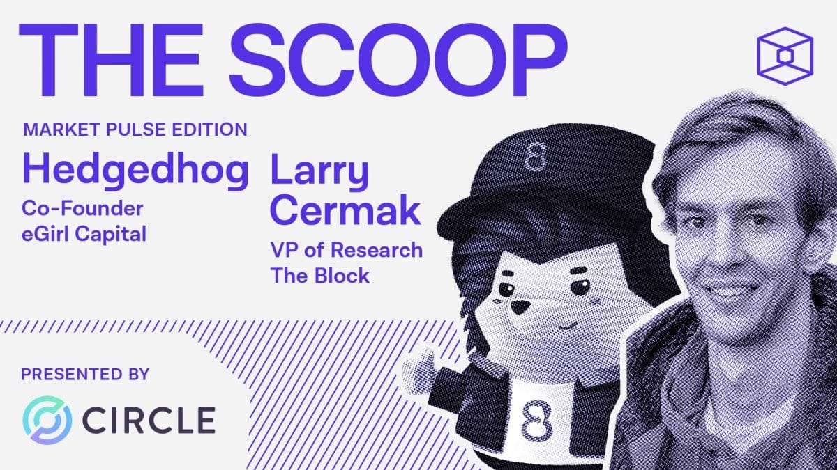 Resurgence of 'degenerate behavior' is behind 2023's crypto rally