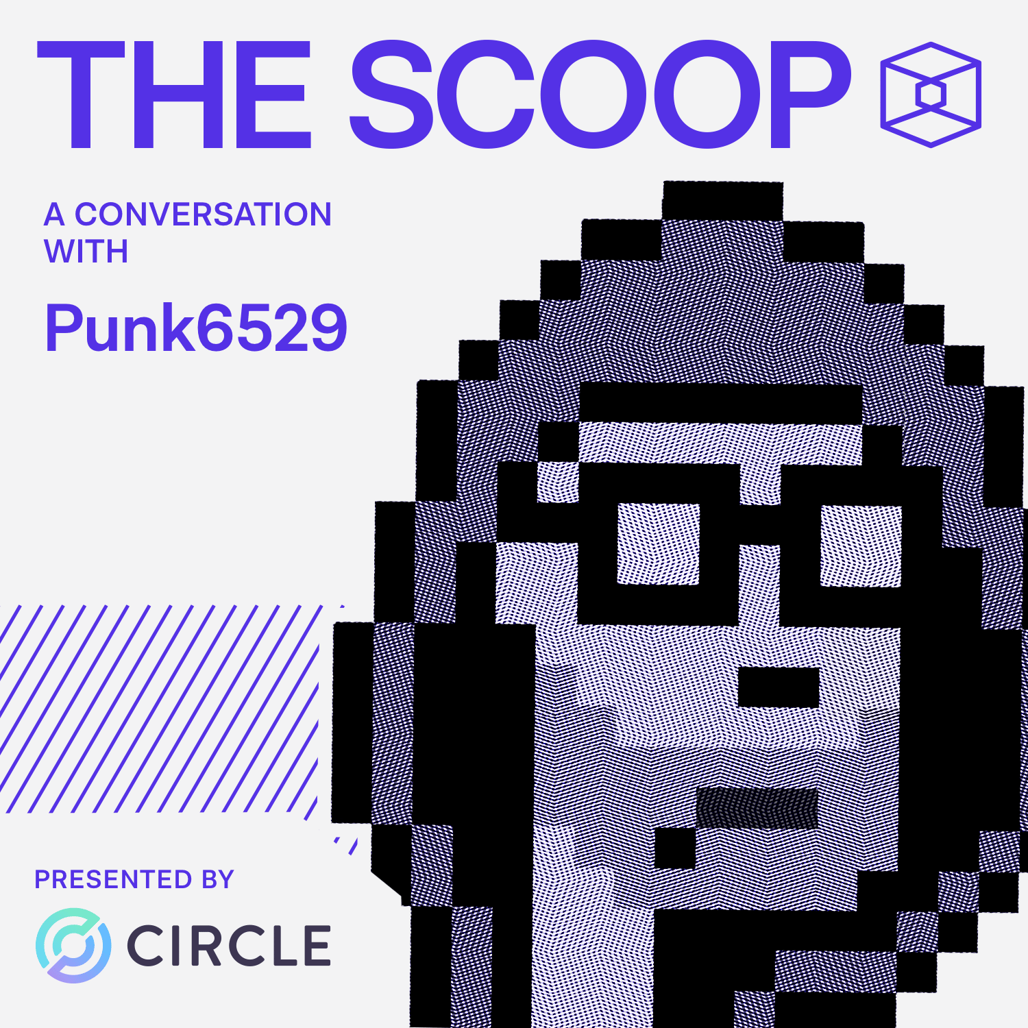 Punk6529