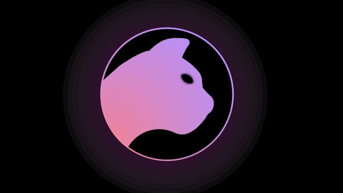 Reunit, the wallet built on top of LayerZero available in beta