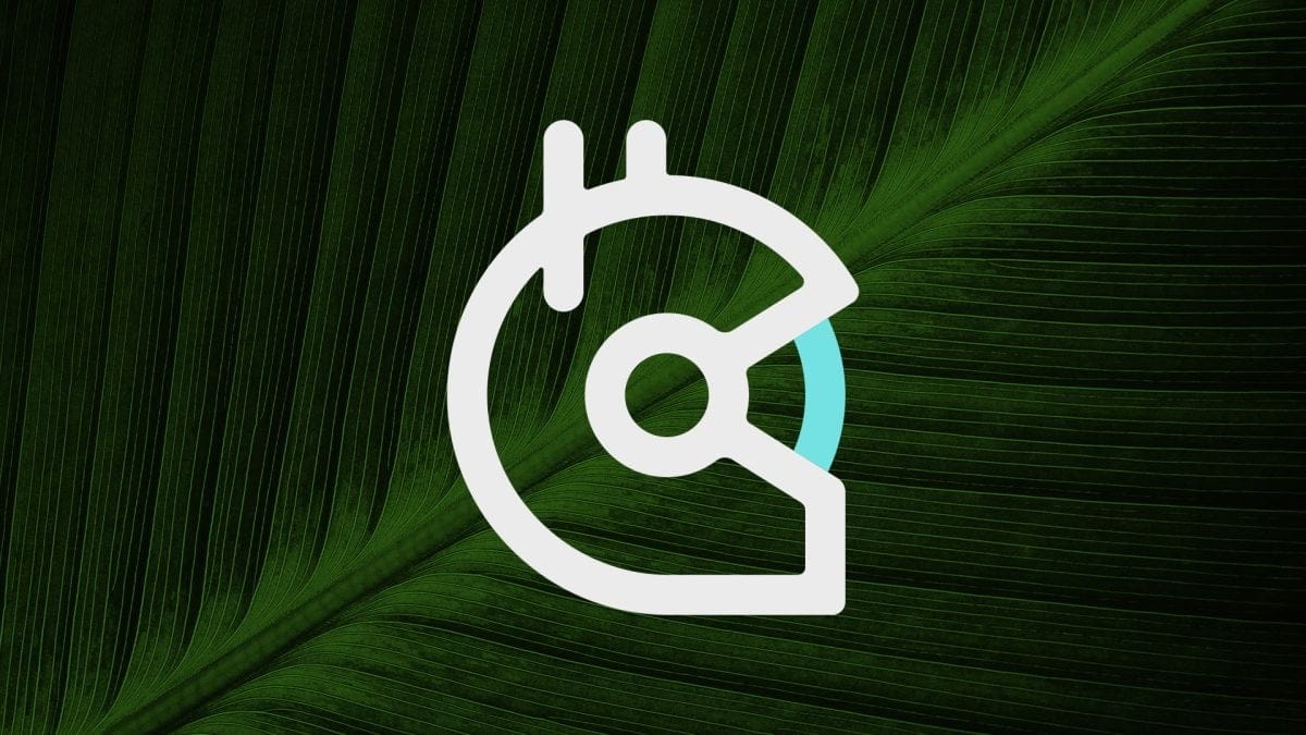 Ethereum public goods funding protocol Gitcoin winding down its software division