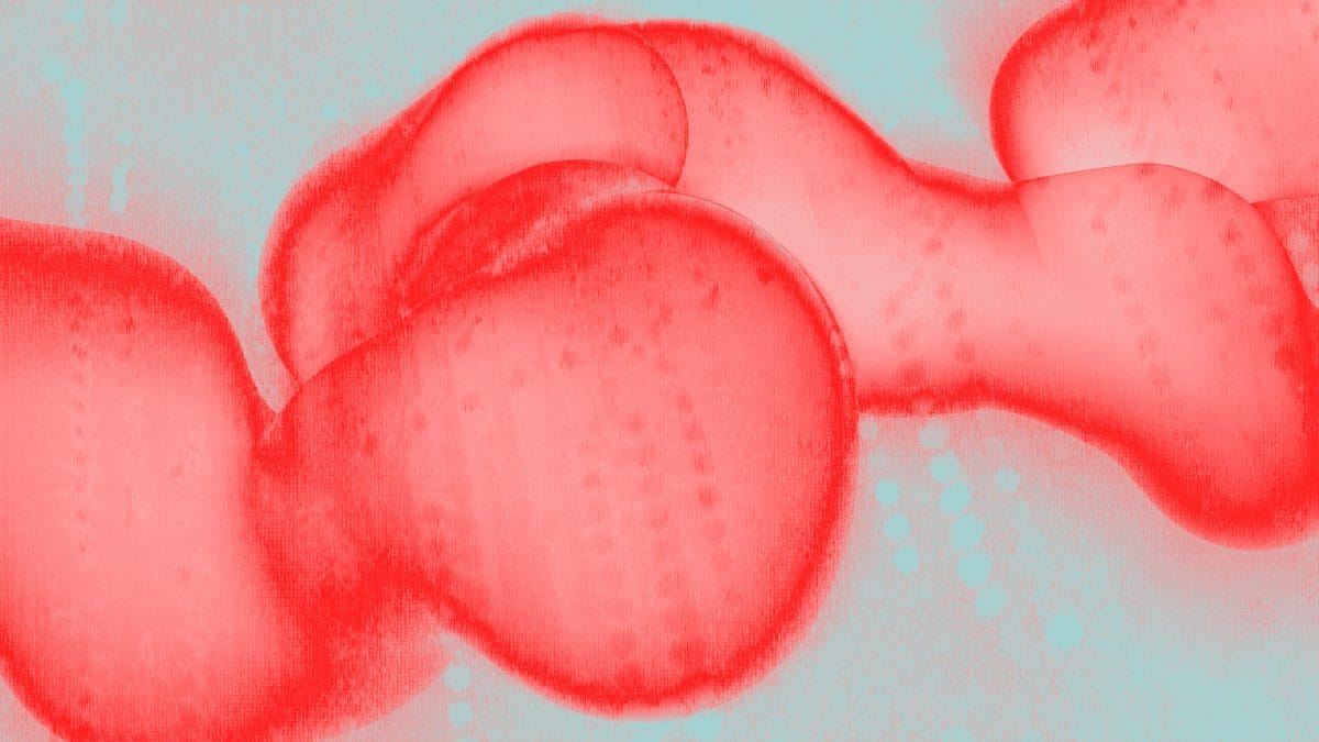 Blockchain forensics firm Crystal Intelligence to acquire Whale Alert’s scam notification platform