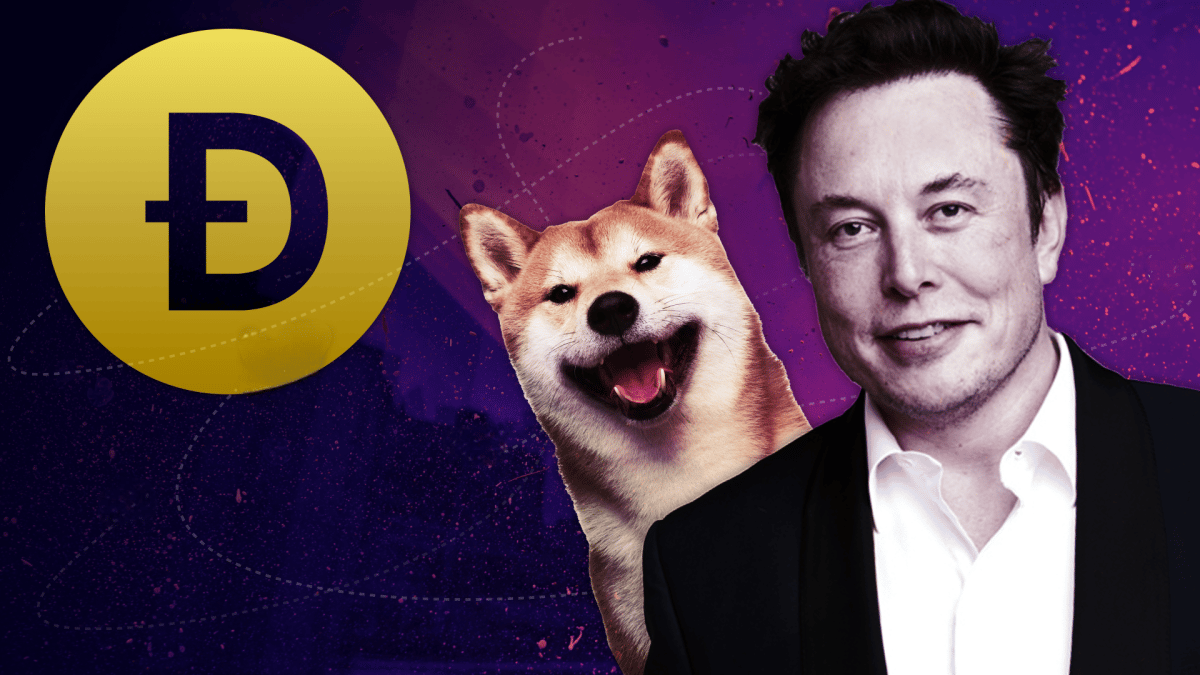DOGE price drops as Elon Musk confirms 'no plans' to use the memecoin