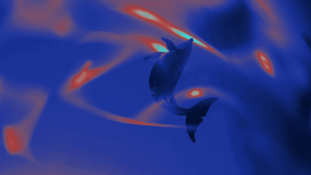 The Daily: Dormant bitcoin whale wakes up after 12-year slumber to 830x gains, Andre Cronje's Flying Tulip raises $200M, and more