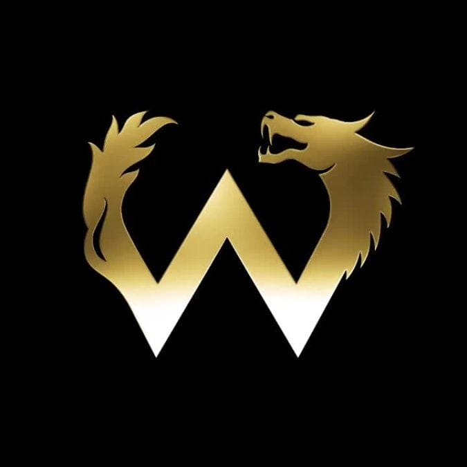 Image of Matúš Kopf from Founder and Head of Trading, Wincent