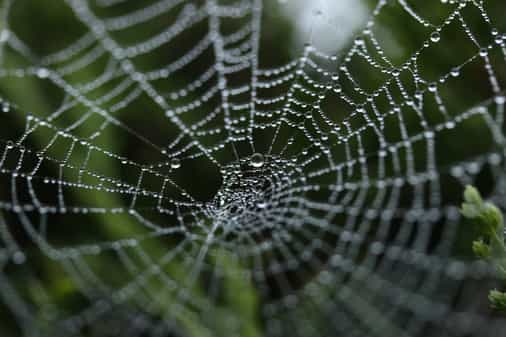 Weaknesses in the Web 3.0 thesis