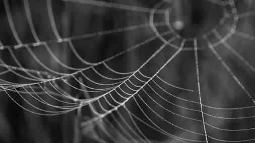 Bitcoin is still the crypto of choice for darknet marketplaces