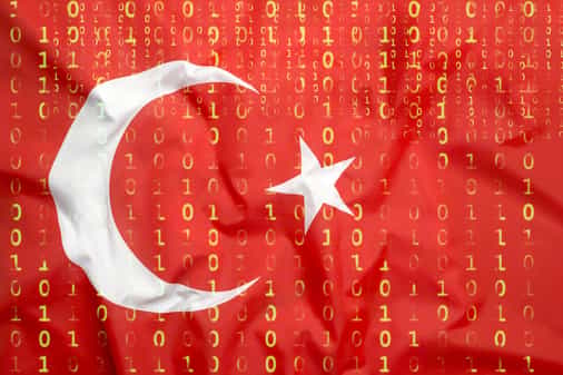 Turkey's Metatime raises $11 million in seed funding amid rising crypto adoption
