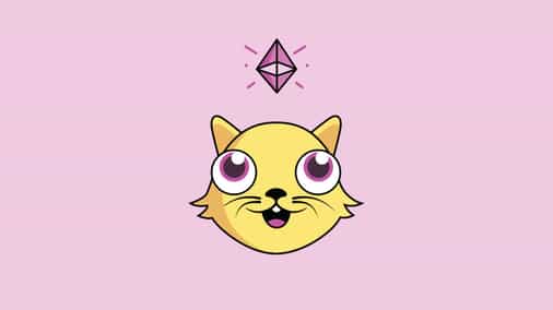 A CryptoKitties founding employee on why she thinks the concept will ultimately land on its feet