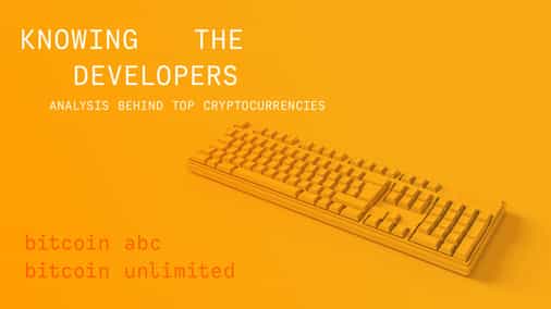 Knowing the developers: an analysis of Bitcoin ABC and Bitcoin Unlimited