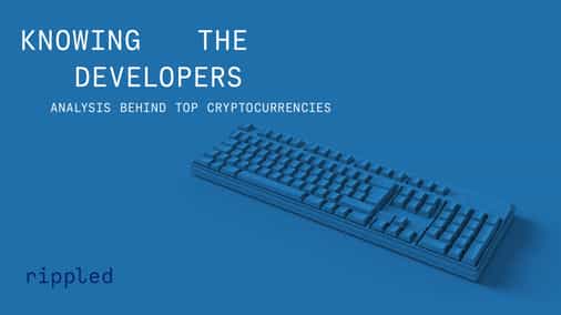Knowing the developers: an analysis of Rippled