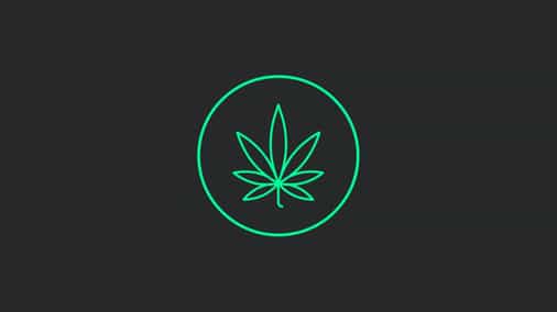 Lawsuit alleging misappropriation of token sale funds settles with release of claims and creation of 'Budbo DAO'